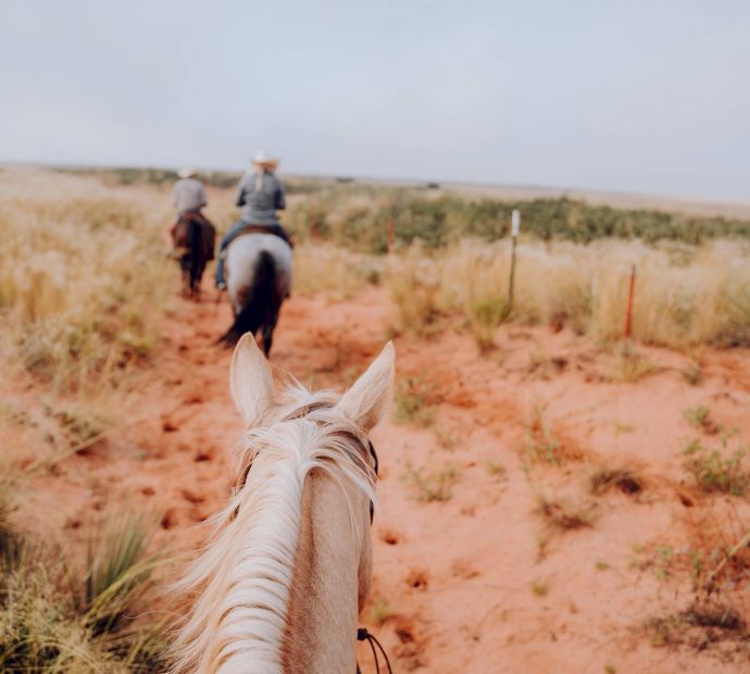 Mesa Vista Affordable Apartments with A rider follows two people on horseback through a dry, grassy landscape under a pale sky.