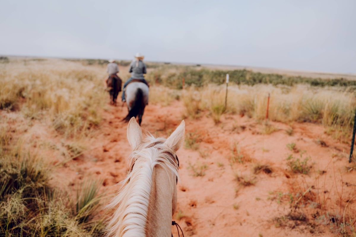 Mesa Vista Affordable Apartments with A rider follows two people on horseback through a dry, grassy landscape under a pale sky.